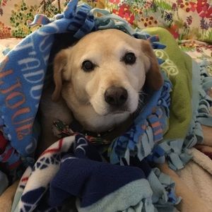 Meet your Posher, Donna